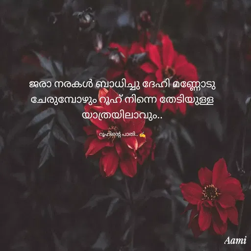 Quote by anu smr -  - Made using Quotes Creator App, Post Maker App