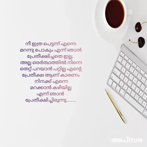 Quote by Apsara Appoos - നീ ഇത്ര പെട്ടന്ന് എന്നെ മറന്നു പോകും എന്ന് ഞാൻ പ്രേതീക്ഷിച്ചതെ ഇല്ല. 
 അല്ല ഒരർത്ഥത്തിൽ നിന്നെ തെറ്റ് പറയാൻ പറ്റില്ല എന്റെ പ്രേതീക്ഷ ആണ് കാരണം
 നിനക്ക് എന്നെ
മറക്കാൻ കഴിയില്ല
എന്ന് ഞാൻ 
പ്രേതീക്ഷിച്ചിരുന്നു........ - Made using Quotes Creator App, Post Maker App