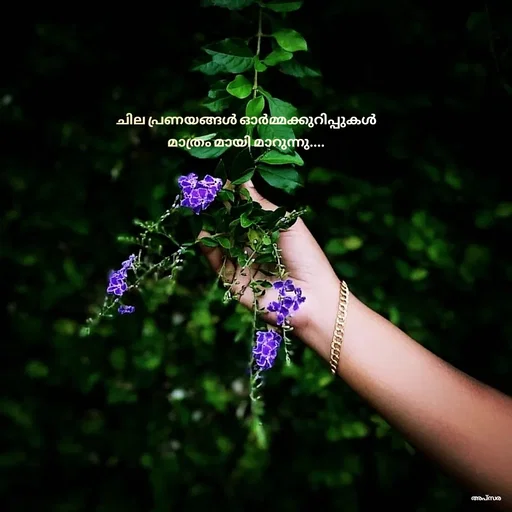 Quote by Apsara Appoos - ചില പ്രണയങ്ങൾ ഓർമ്മക്കുറിപ്പുകൾ മാത്രം മായി മാറുന്നു.... - Made using Quotes Creator App, Post Maker App