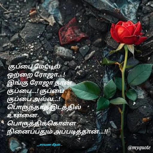 Quote by Saravanan Geethan -  குப்பை மேட்டில் 
ஒற்றை ரோஜா...!
இங்கு ரோஜா தான் 
குப்பை...! குப்பை 
குப்பை அல்ல...!
பொருந்தாத இடத்தில் 
உன்னை 
பொருத்திக்கொள்ள
நினைப்பதும் அப்படித்தான்...!!


                                                    __சரவண கீதன்... - Made using Quotes Creator App, Post Maker App