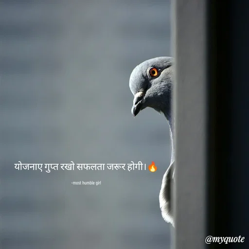 Quote by humble girl - योजनाए गुप्त रखो सफलता जरूर होगी।🔥

-most humble girl  - Made using Quotes Creator App, Post Maker App