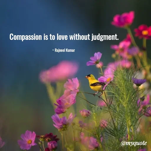 Quote by Rajneel Kumar - Compassion is to love without judgment.

~ Rajneel Kumar  - Made using Quotes Creator App, Post Maker App