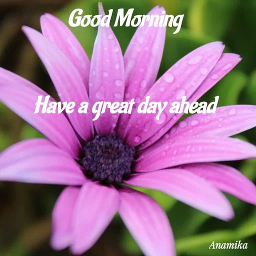 Quote by Anamika Banerjee 💜💜 -  - Made using Quotes Creator App, Post Maker App