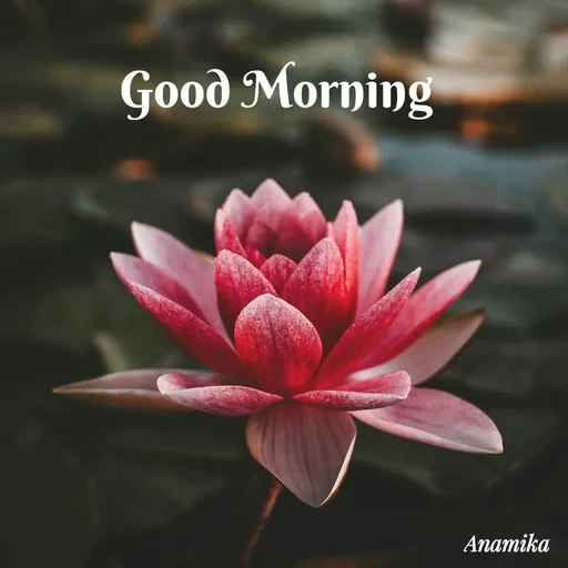 Quote by Anamika Banerjee 💜💜 -  - Made using Quotes Creator App, Post Maker App