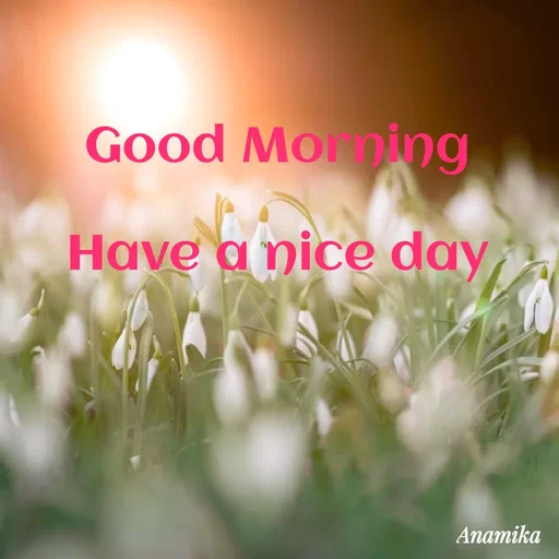 Quote by Anamika Banerjee 💜💜 -  - Made using Quotes Creator App, Post Maker App