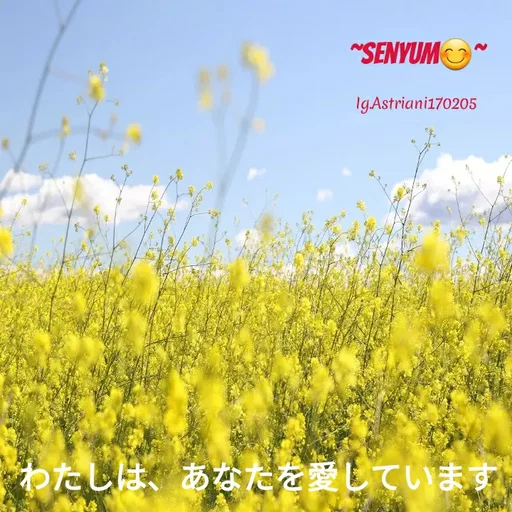 Quote by Astri Ani - "SENYUMO
Ig.Astriani170205
わたしは、あなたを愛しています。
 - Made using Quotes Creator App, Post Maker App