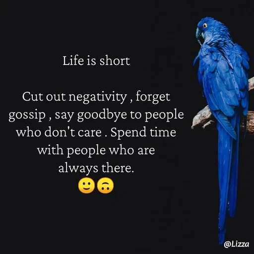 Quote by Lizza ♡ - Life is short

Cut out negativity , forget
gossip , say goodbye to people
who don't care . Spend time
with people who are
always there.
🙂🙃 - Made using Quotes Creator App, Post Maker App