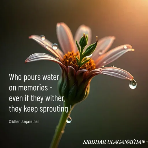 Quote by Sridhar Ulaganathan -  - Made using Quotes Creator App, Post Maker App
