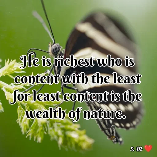 Quote by s.m - He is richest who is content with the least for least content is the wealth of nature.  - Made using Quotes Creator App, Post Maker App