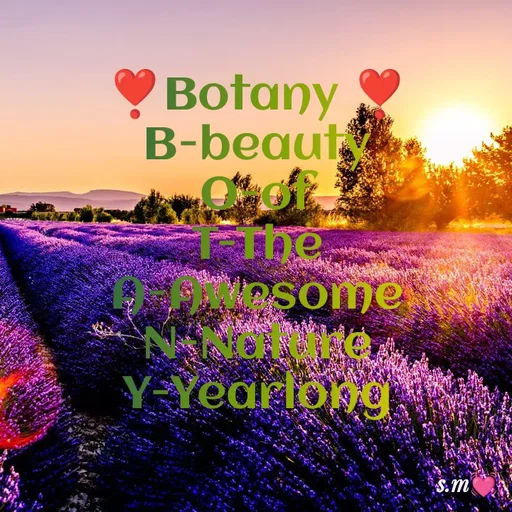 Quote by s.m - ❣️Botany ❣️
B-beauty
O-of
T-The
A-Awesome
N-Nature
Y-Yearlong
 - Made using Quotes Creator App, Post Maker App