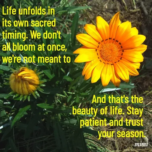 Quote by Mimi Mens -  - Made using Quotes Creator App, Post Maker App