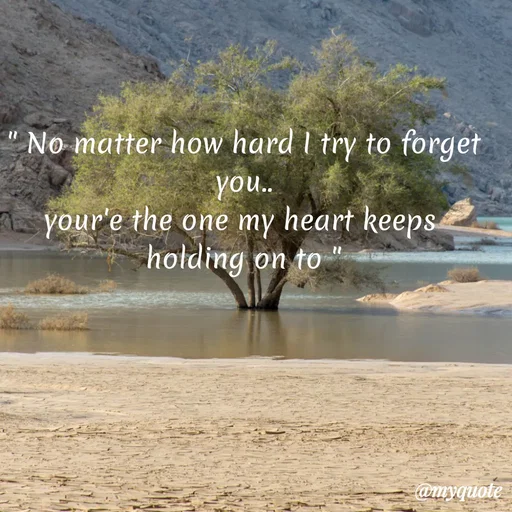 Quote by Sanjana - " No matter how hard I try to forget you..
your'e the one my heart keeps 
holding on to " - Made using Quotes Creator App, Post Maker App