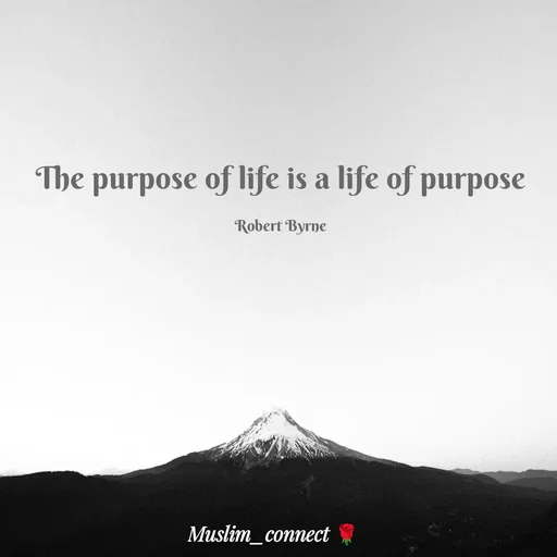 Quote by Muslim_ connect -  - Made using Quotes Creator App, Post Maker App