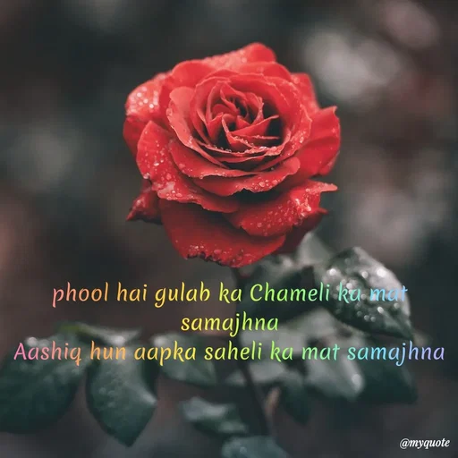 Quote by SAMEER MARK - phool hai gulab ka Chameli ka mat samajhna
Aashiq hun aapka saheli ka mat samajhna - Made using Quotes Creator App, Post Maker App