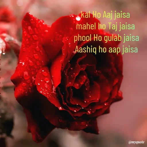 Quote by SAMEER MARK - kal Ho Aaj jaisa 
mahel ho Taj jaisa 
phool Ho gulab jaisa
Aashiq ho aap jaisa - Made using Quotes Creator App, Post Maker App