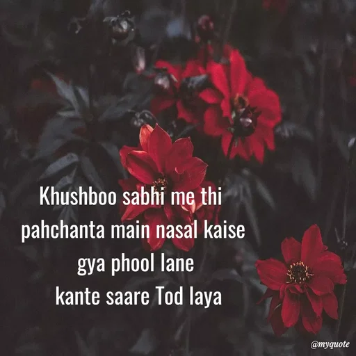 Quote by SAMEER MARK - Khushboo sabhi me thi  
pahchanta main nasal kaise 
gya phool lane
 kante saare Tod laya - Made using Quotes Creator App, Post Maker App