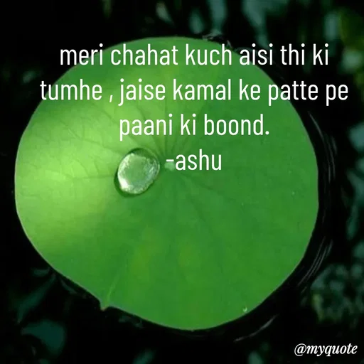 Quote by Haseena Kote - meri chahat kuch aisi thi ki tumhe , jaise kamal ke patte pe paani ki boond.
-ashu
 - Made using Quotes Creator App, Post Maker App