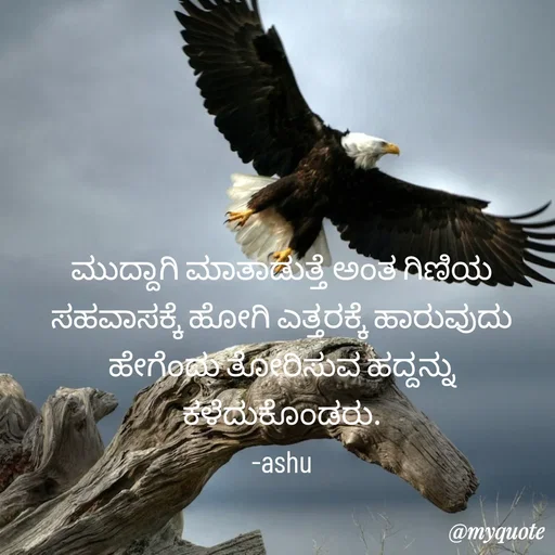 Quote by Haseena Kote - ಮುದ್ದಾಗಿ ಮಾತಾಡುತ್ತೆ ಅಂತ ಗಿಣಿಯ ಸಹವಾಸಕ್ಕೆ ಹೋಗಿ ಎತ್ತರಕ್ಕೆ ಹಾರುವುದು ಹೇಗೆಂದು ತೋರಿಸುವ ಹದ್ದನ್ನು ಕಳೆದುಕೊಂಡರು.
-ashu - Made using Quotes Creator App, Post Maker App
