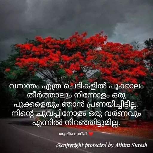 Quote by Athira Sandeep - വസന്തം എത്ര ചെടികളിൽ പൂക്കാലം തീർത്താലും നിന്നോളം ഒരു പൂക്കളെയും ഞാൻ പ്രണയിച്ചിട്ടില്ല. നിന്റെ ചുവപ്പിനോളം ഒരു വർണവും എന്നിൽ നിറഞ്ഞിട്ടുമില്ല.

ആതിര സന്ദീപ് ❤️ - Made using Quotes Creator App, Post Maker App