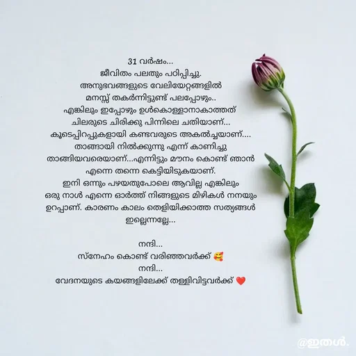Quote by Shabeena P S - 31 വർഷം...
ജീവിതം പലതും പഠിപ്പിച്ചു.
അനുഭവങ്ങളുടെ വേലിയേറ്റങ്ങളിൽ
മനസ്സ് തകർന്നിട്ടുണ്ട് പലപ്പോഴും..
എങ്കിലും ഇപ്പോഴും ഉൾകൊള്ളാനാകാത്തത് 
ചിലരുടെ ചിരിക്കു പിന്നിലെ ചതിയാണ്...
കൂടെപ്പിറപ്പുകളായി കണ്ടവരുടെ അകൽച്ചയാണ്....
താങ്ങായി നിൽക്കുന്നു എന്ന് കാണിച്ചു താങ്ങിയവരെയാണ്...എന്നിട്ടും മൗനം കൊണ്ട് ഞാൻ എന്നെ തന്നെ കെട്ടിയിടുകയാണ്.
ഇനി ഒന്നും പഴയതുപോലെ ആവില്ല എങ്കിലും
ഒരു നാൾ എന്നെ ഓർത്ത് നിങ്ങളുടെ മിഴികൾ നനയും ഉറപ്പാണ്. കാരണം കാലം തെളിയിക്കാത്ത സത്യങ്ങൾ ഇല്ലെന്നല്ലേ...

നന്ദി...
സ്നേഹം കൊണ്ട് വരിഞ്ഞവർക്ക് 🥰
നന്ദി...
വേദനയുടെ കയങ്ങളിലേക്ക് തള്ളിവിട്ടവർക്ക് ❤️
 - Made using Quotes Creator App, Post Maker App
