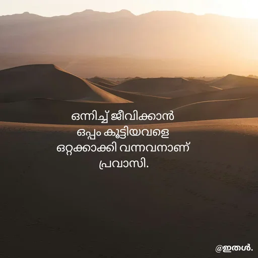 Quote by Shabeena P S - ഒന്നിച്ച് ജീവിക്കാൻ 
ഒപ്പം കൂട്ടിയവളെ 
ഒറ്റക്കാക്കി വന്നവനാണ് 
പ്രവാസി. - Made using Quotes Creator App, Post Maker App
