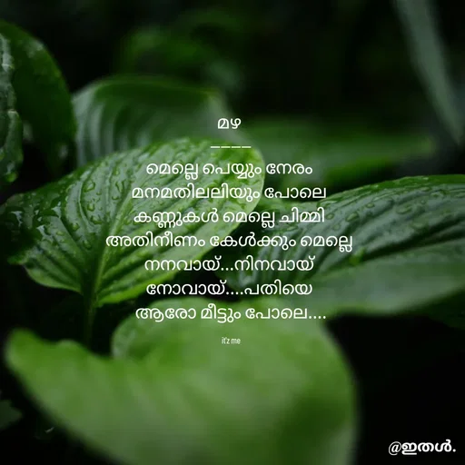 Quote by Shabeena P S - മഴ 
--------
മെല്ലെ പെയ്യും നേരം 
മനമതിലലിയും പോലെ 
കണ്ണുകൾ മെല്ലെ ചിമ്മി 
അതിനീണം കേൾക്കും മെല്ലെ 
നനവായ്...നിനവായ് 
നോവായ്....പതിയെ 
ആരോ മീട്ടും പോലെ....

it'z me - Made using Quotes Creator App, Post Maker App