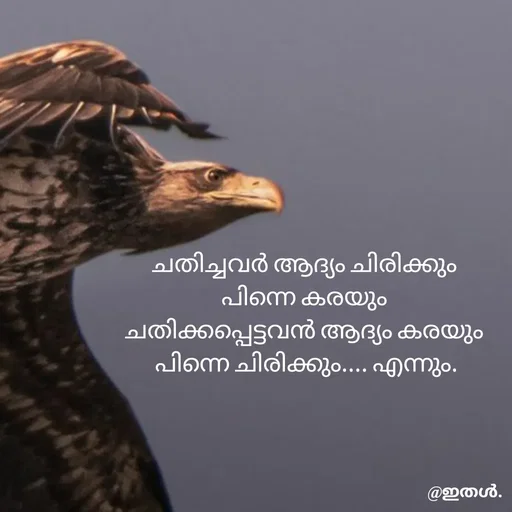 Quote by Shabeena P S - ചതിച്ചവർ ആദ്യം ചിരിക്കും 
പിന്നെ കരയും 
ചതിക്കപ്പെട്ടവൻ ആദ്യം കരയും 
പിന്നെ ചിരിക്കും.... എന്നും. - Made using Quotes Creator App, Post Maker App