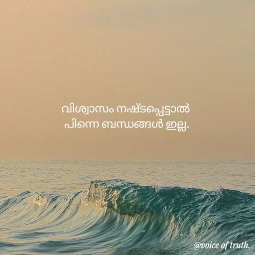 Quote by Shabeena P S - വിശ്വാസം നഷ്ടപ്പെട്ടാൽ 
പിന്നെ ബന്ധങ്ങൾ ഇല്ല. - Made using Quotes Creator App, Post Maker App