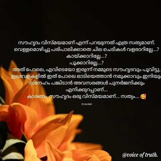Quote by Shabeena P S - സൗഹൃദം വിസ്മയമാണ് എന്ന് പറയുന്നത് എത്ര സത്യമാണ്. വെള്ളമൊഴിച്ചു പരിപാലിക്കാതെ ചില ചെടികൾ വളരാറില്ലേ...? കായ്ക്കാറില്ലേ...?
പൂക്കാറില്ലേ...?
അത് പോലെ, എവിടെയോ ഇരുന്ന് നമ്മുടെ സൗഹൃദവും പൂവിട്ടു.
ഇടവേളകളിൽ ഇത് പോലെ ഓടിയെത്താൻ നമുക്കാവും.ഇനിയും  സ്നേഹം പങ്കിടാൻ അവസരങ്ങൾ പുനർജനിക്കും എനിക്കുറപ്പാണ്...
കാരണം, സൗഹൃദം ഒരു വിസ്മയമാണ്... സത്യം... 🥰

it'z me shebi - Made using Quotes Creator App, Post Maker App