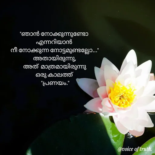 Quote by Shabeena P S - "ഞാൻ നോക്കുന്നുണ്ടോ 
എന്നറിയാൻ 
നീ നോക്കുന്ന നോട്ടമുണ്ടല്ലോ..."
അതായിരുന്നു,
അത്  മാത്രമായിരുന്നു
ഒരു കാലത്ത് 
 "പ്രണയം." - Made using Quotes Creator App, Post Maker App