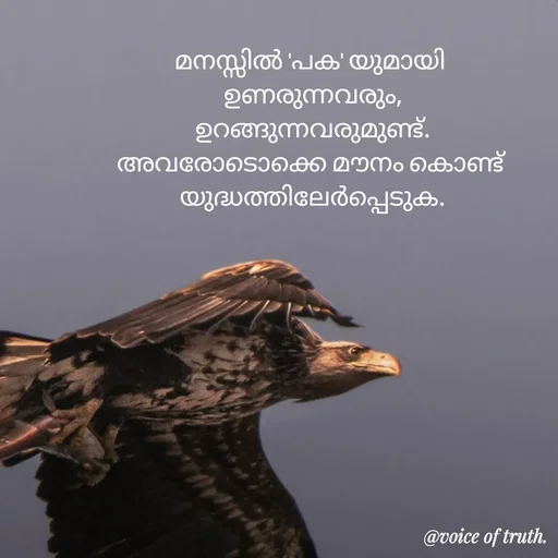 Quote by Shabeena P S - മനസ്സിൽ 'പക' യുമായി 
ഉണരുന്നവരും,
ഉറങ്ങുന്നവരുമുണ്ട്.
അവരോടൊക്കെ മൗനം കൊണ്ട് 
യുദ്ധത്തിലേർപ്പെടുക. - Made using Quotes Creator App, Post Maker App