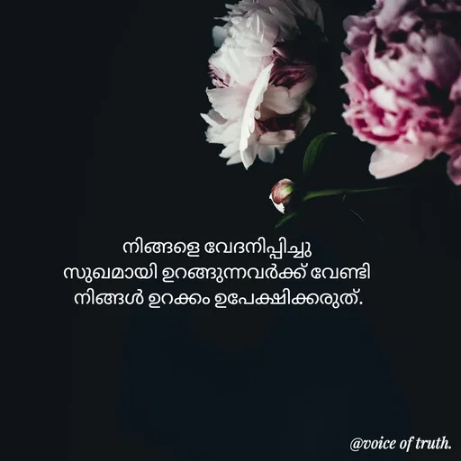 Quote by Shabeena P S - നിങ്ങളെ വേദനിപ്പിച്ചു 
സുഖമായി ഉറങ്ങുന്നവർക്ക് വേണ്ടി 
നിങ്ങൾ ഉറക്കം ഉപേക്ഷിക്കരുത്. - Made using Quotes Creator App, Post Maker App