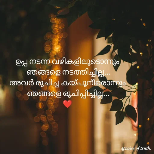 Quote by Shabeena P S -  - Made using Quotes Creator App, Post Maker App
