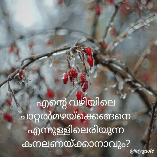 Quote by Shabeena P S -  - Made using Quotes Creator App, Post Maker App