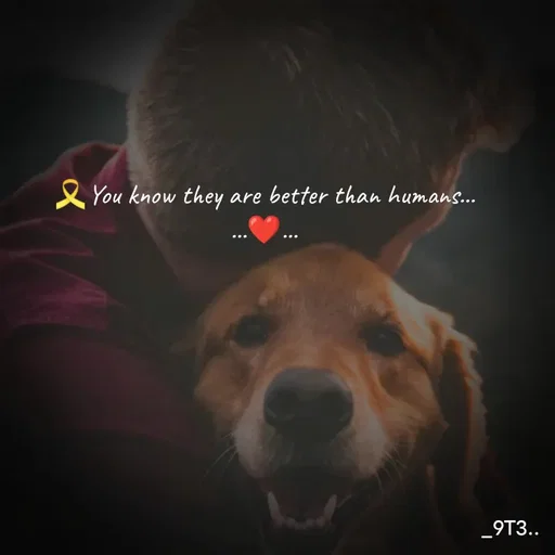 Quote by Mr. Unknown... - 🎗️You know they are better than humans...
...❤️... - Made using Quotes Creator App, Post Maker App