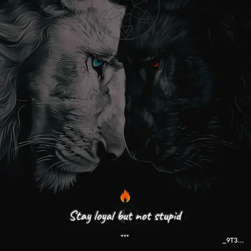 Quote by Tushar... - Stay loyal but not stupid
...
 - Made using Quotes Creator App, Post Maker App