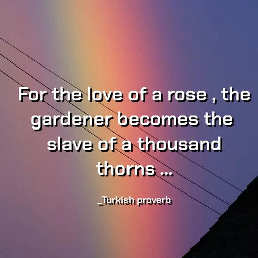 Quote by Khan Sheema - For the love of a rose , the gardener becomes the 
slave of a thousand thorns ...

_Turkish proverb - Made using Quotes Creator App, Post Maker App