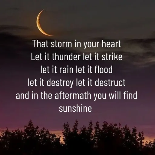 Quote by Khan Sheema - That storm in your heart
Let it thunder let it strike
let it rain let it flood
let it destroy let it destruct
and in the aftermath you will find sunshine 
 - Made using Quotes Creator App, Post Maker App