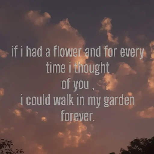 Quote by Khan Sheema - if i had a flower and for every time i thought
of you ,
i could walk in my garden forever. - Made using Quotes Creator App, Post Maker App