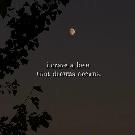 Quote by Khan Sheema - i crave a love
 that drowns oceans. - Made using Quotes Creator App, Post Maker App