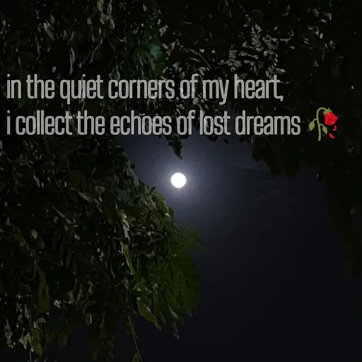 Quote by Khan Sheema - in the quiet corners of my heart,
i collect the echoes of lost dreams 🥀


 - Made using Quotes Creator App, Post Maker App
