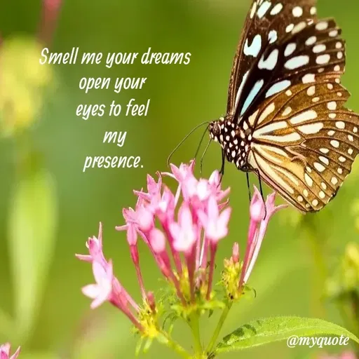 Quote by Amor Powers - Smell me your dreams
open your 
eyes to feel 
my
presence. - Made using Quotes Creator App, Post Maker App