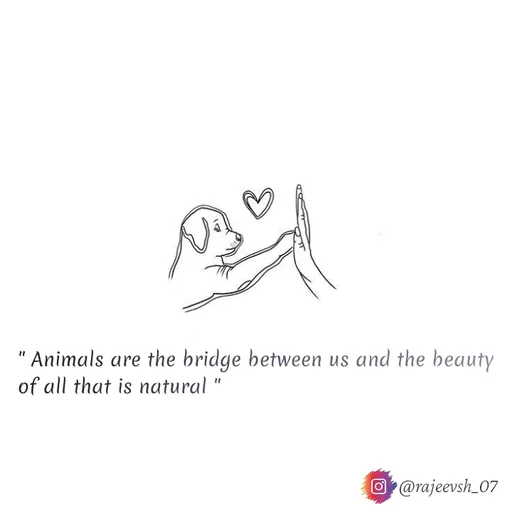 Quote by Rajeev Sharma - " Animals are the bridge between us and the beauty of all that is natural " - Made using Quotes Creator App, Post Maker App