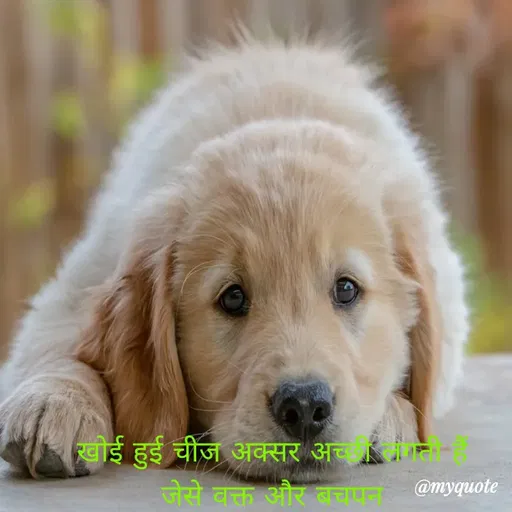 Quote by Nikita Tagad -  - Made using Quotes Creator App, Post Maker App
