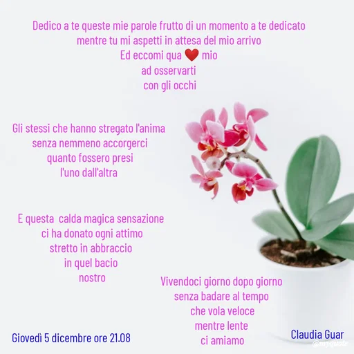 Quote by Claudia Guarino -  - Made using Quotes Creator App, Post Maker App