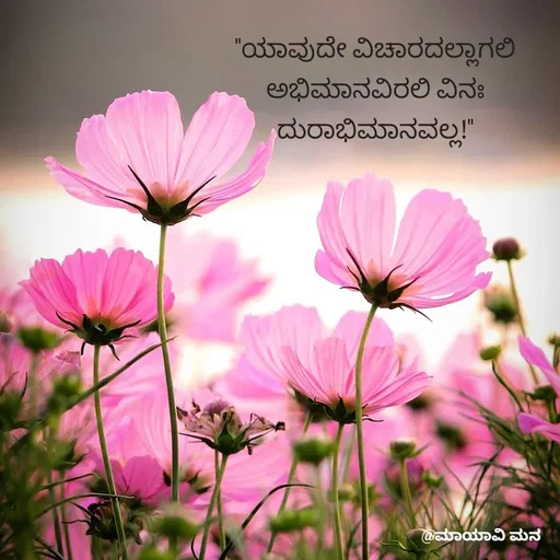 Quote by suma📷🍃💚🎧❤️ - "ಯಾವುದೇ ವಿಚಾರದಲ್ಲಾಗಲಿ
ಅಭಿಮಾನವಿರಲಿ ವಿನಃ
ದುರಾಭಿಮಾನವಲ್ಲ!"
 - Made using Quotes Creator App, Post Maker App