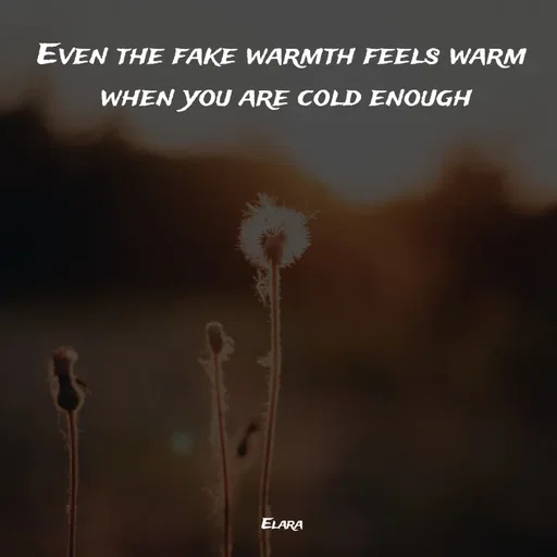 Quote by Elara - Even the fake warmth feels warm
 when you are cold enough








 

Elara - Made using Quotes Creator App, Post Maker App