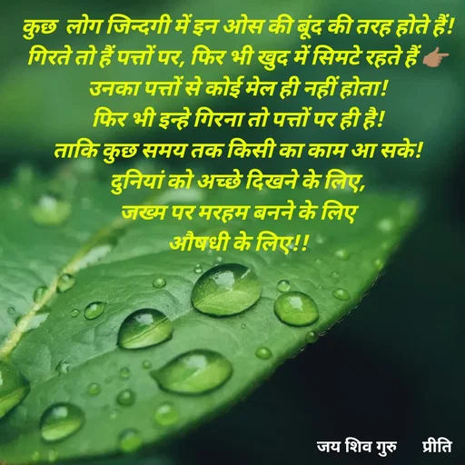 Quote by Pk singh - कुछ  लोग जिन्दगी में इन ओस की बूंद की तरह होते हैं!
गिरते तो हैं पत्तों पर, फिर भी खुद में सिमटे रहते हैं 👉🏽
उनका पत्तों से कोई मेल ही नहीं होता!
फिर भी इन्हे गिरना तो पत्तों पर ही है!
ताकि कुछ समय तक किसी का काम आ सके!
दुनियां को अच्छे दिखने के लिए,
जख्म पर मरहम बनने के लिए
औषधी के लिए!! - Made using Quotes Creator App, Post Maker App