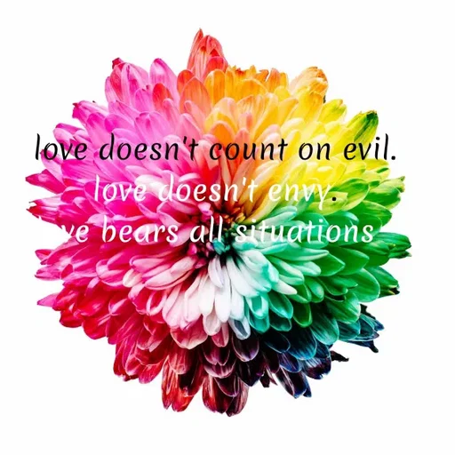 Quote by Carly💖 - love doesn't count on evil.                         love doesn't envy.                                      love bears all situations   - Made using Quotes Creator App, Post Maker App