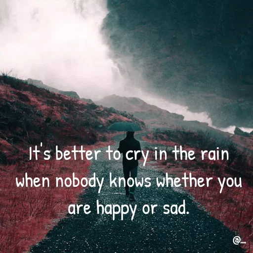 Quote by Miss Girl - It's better to cry in the rain when nobody knows whether you are happy or sad. - Made using Quotes Creator App, Post Maker App